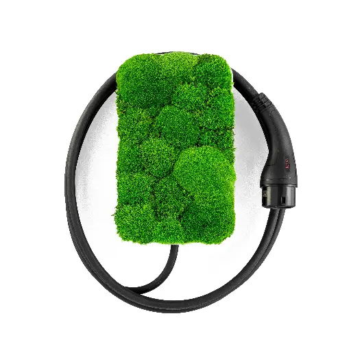 [V22TLMGP] VOOL charger - living moss